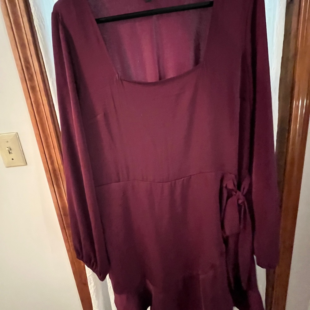 Express Burgundy Dress